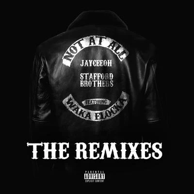 Not At All (The Remixes) 專輯 Jayceeoh