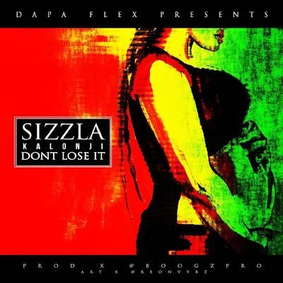 Don&#x27;t Lose It 专辑 Sizzla Kalonji