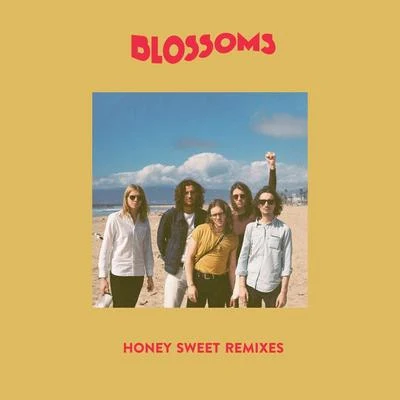 Honey Sweet (The Revenge Remix) 專輯 Blossoms/Chase & Status