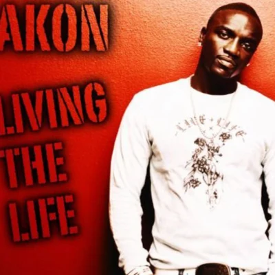 Living The Life 专辑 Akon/India.Arie/Bonnie Raitt/Rascal Flatts/Victor Wooten