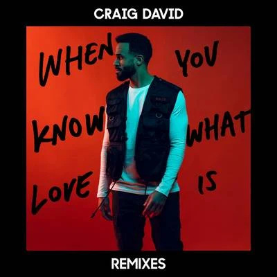 When You Know What Love Is (Remixes) 专辑 Gérard Presgurvic/Cover Team/Craig David