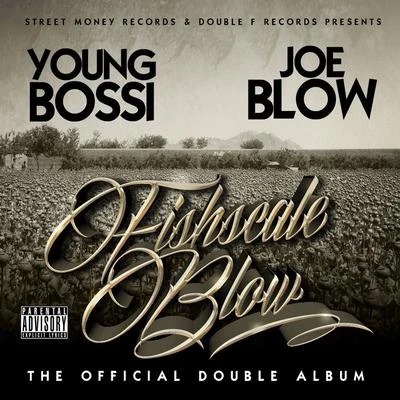 FishscaleBlow 專輯 Joe Blow/Stevie Joe/Maffii