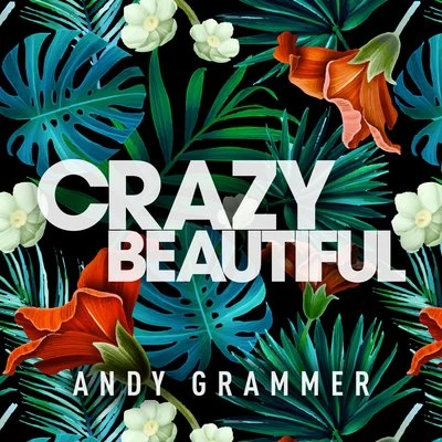 Crazy Beautiful EP (Single) 專輯 Andy Grammer/Ryan Riback