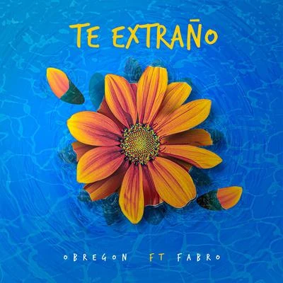 Te Extraño 专辑 Obregon