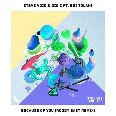 Because Of You (feat. Bri Tolani) [Robby East Remix] 專輯 Louisa Johnson/Steve Void