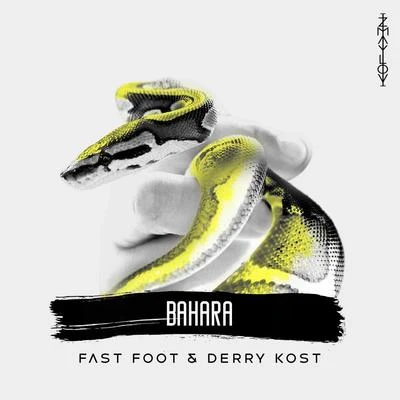 BAHARA 專輯 HIDE/Fast Foot/Ryan Enzed/FTampa/Atrax Morgue