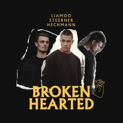 Broken Hearted 专辑 Felipe C/Steerner/Kourosh Tazmini/Vuk Lazar/Anda Adam