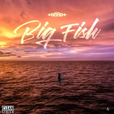 Big Fish 专辑 Ace Hood