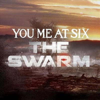 The Swarm 专辑 You Me At Six