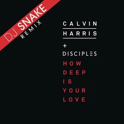 How Deep Is Your Love 專輯 DJ Snake