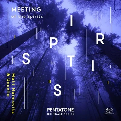 HAIMOVITZ, MattUCCELLO: Meeting of the Spirits 专辑 Orchestre de Bretagne/Matt Haimovitz/Laure Favre-Kahn/Grzegorz Nowak