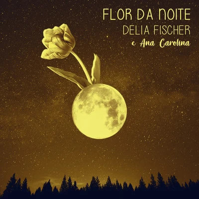 Flor da noite 專輯 Romero Lubambo/Cesar Machado/Hendrik Meurkens/Gaudencio Thiago de Mello/Adriano Giffoni