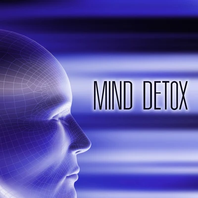 Mind Detox - Soothing Songs with Sounds of Nature 專輯 Relaxation Music With Nature Sounds/Angels Of Relaxation/Musique du monde et relaxation