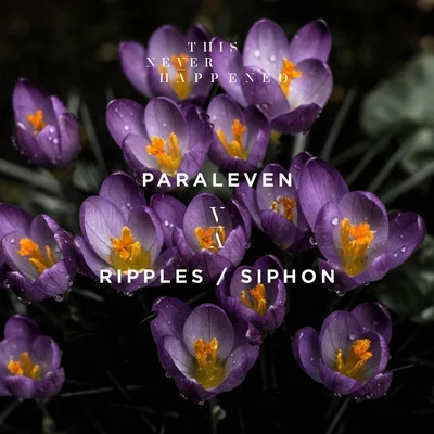 RipplesSiphon 專輯 Paraleven/DLMT