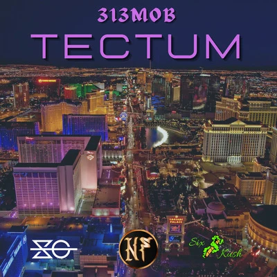 313MOB - Tectum 专辑 Slow Gang