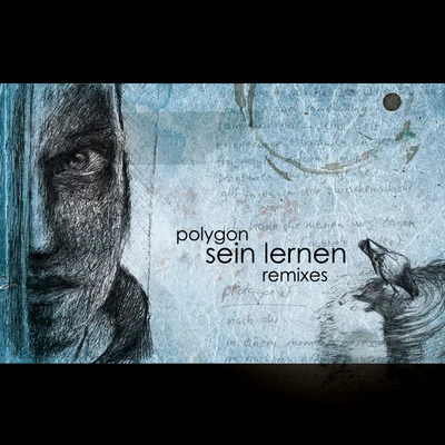 Sein Lernen Remixes 專輯 Stendeck/Ish/Polygon/Xsodect/3,14