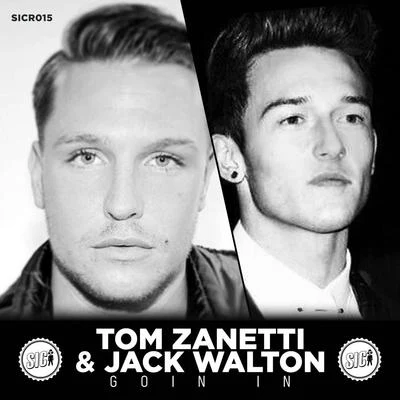 Goin In 專輯 Tom Zanetti/Alpines/Hannah Wants/Various Artists/Linkoban