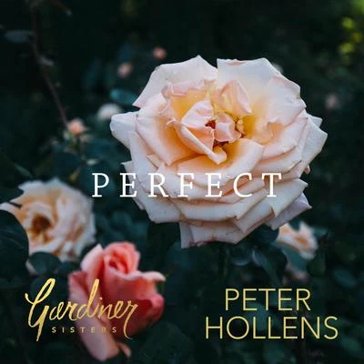 Perfect 專輯 Peter Hollens/Mega Ran/Quintino & Blasterjaxx/Laura Intravia/Tina Guo