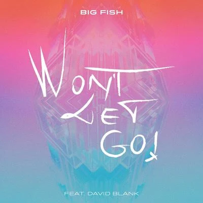 Won&#x27;t Let Go 专辑 Big Fish/Kinky Bwoy/Sundaypanic