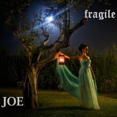 Fragile 專輯 JOe