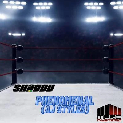 Phenomenal (AJ Styles) 專輯 Marc Mysterio/Crash Test Dummies