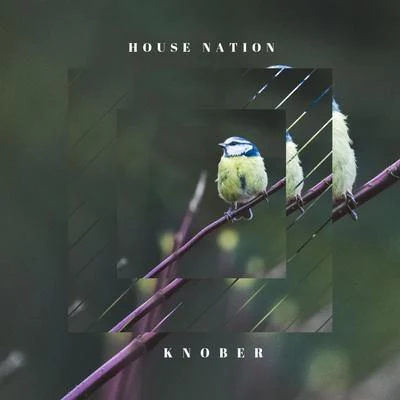 House Nation 专辑 Knober/Sylter