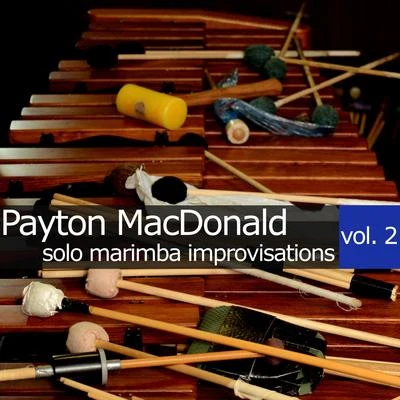 Solo Marimba Improvisations, Vol. 2 專輯 Payton MacDonald/Mark Berry