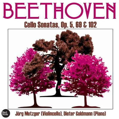 Beethoven: Cello Sonatas, Op. 5, 69 & 102 专辑 Jörg Metzger/Camerata Academica Würzburg/Gert Hoelscher/Antonio Vivaldi/Conrad von der Goltz