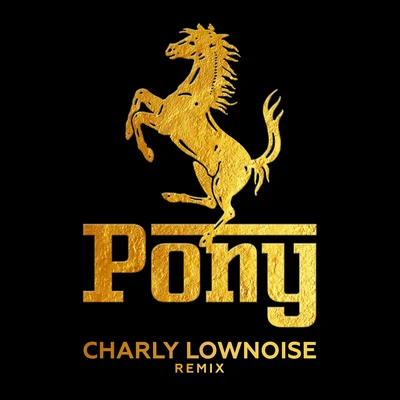 Pony (Charly Lownoise Remix) 专辑 De Kraaien/Teka B/Skoften Sloopservice