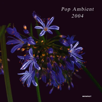 Pop Ambient 2004 專輯 Diverse