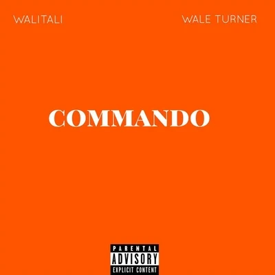 Commando 專輯 Litmus/Wale Turner/Deshinor/didi