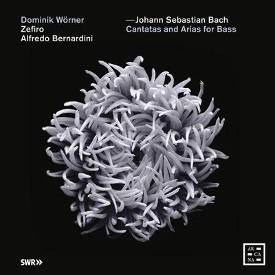 Bach: Cantatas and Arias for Bass 專輯 Gerd Turk/Bach Collegium Japan/Christian Immler/Sophie Junker/Dominik Wörner