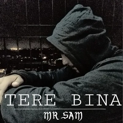 Tere Bina 专辑 Mr Sam