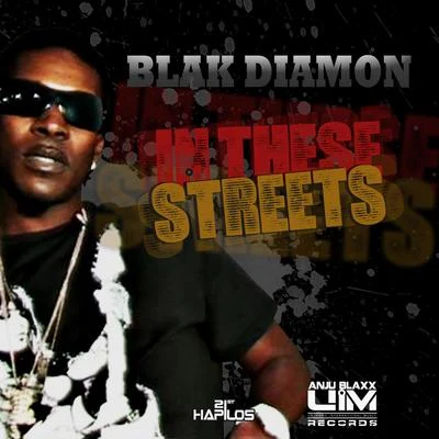 In These Streets 专辑 UIMGUZU/Blak Diamon/Tommy Lee Sparta