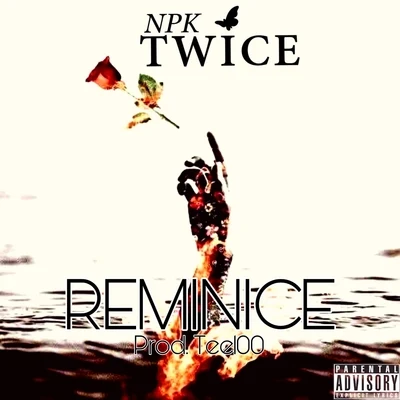 Reminice 专辑 NPK Twice