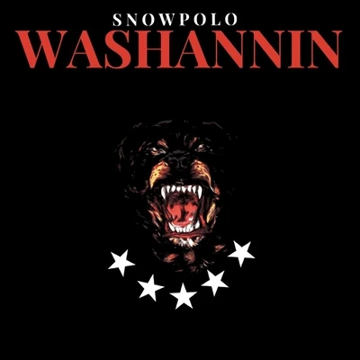 Washannin 專輯 Snowpolo