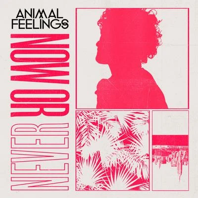 Now or Never 專輯 Animal Feelings