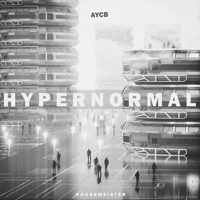 HousemeisterP.O.S. Hypernormal