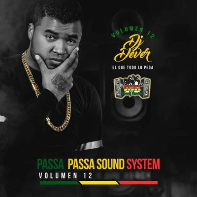 Passa Passa Sound System, Vol. 12 (El Que Todo lo Pega) 專輯 DJ Dever/Jhogy Stylee