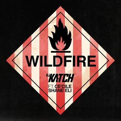 Wildfire 專輯 DJ Katch/Sean Kingston