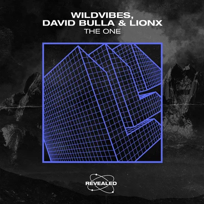 The One 專輯 WildVibes/DigitalTek