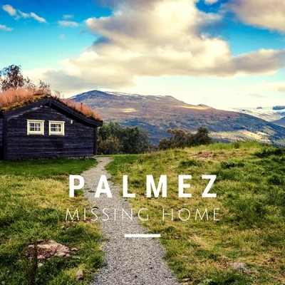 Missing Home 专辑 Palmez/Domenico Ciaffone