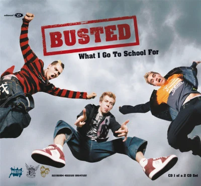 What I Go To School For 專輯 青春管教所/Busted/東百內含子