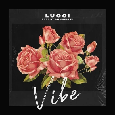 Vibe 专辑 LUCCI/Slim Kofi