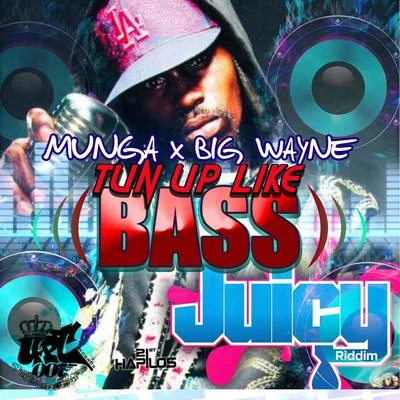 Tun up Like Bass 专辑 Munga/ZJ Liquid