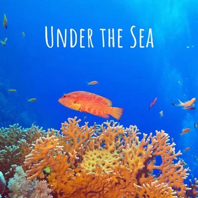 Under the Sea 专辑 Zen Music Garden/Relaxation Reading Music/Healing Sounds for Deep Sleep and Relaxation