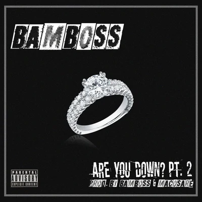 Are You Down? Pt. 2 (feat. Macosare) 专辑 Sentry/Armzout/Bamboss