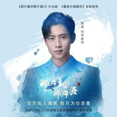 星辰大海是你 專輯 湯晶錦/魏晨/群星/李成宇/寧藝卓