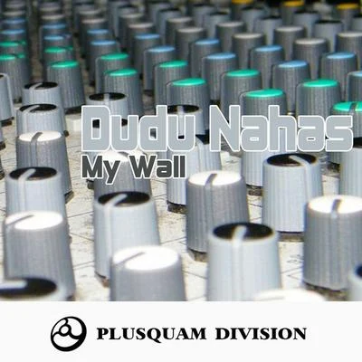 My Wall 專輯 ElecTricks/Southprog/D-Ignition Project/Dudu Nahas/Cristian Paduraru