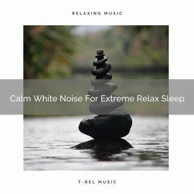 Calm White Noise For Extreme Relax Sleep 专辑 White Noise Relaxation/Nature Sound Collection/Massage Music